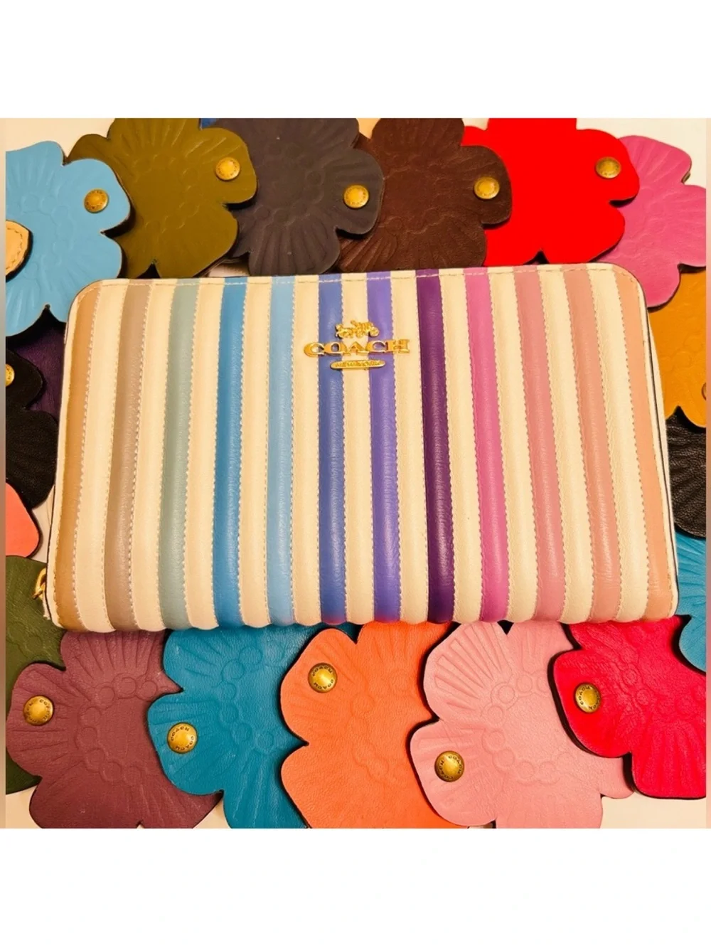 RARE Coach Ombre Rainbow Striped Zip Around Wallet